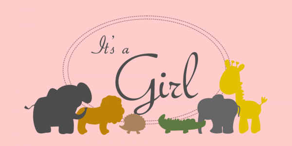 It S A Girl Baby Shower Banner Zoo Animals 2 X 4 Custom Signs
