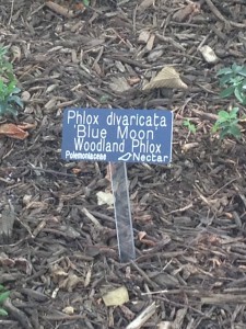 Another example of an engraved sign.