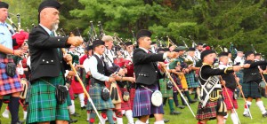 celtic festivals need custom banner signs
