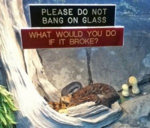do not touch zoo sign