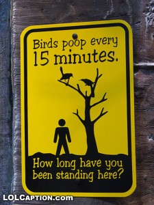 zoo sign bird poop