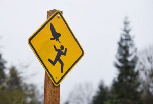 Oregon owl attack sign